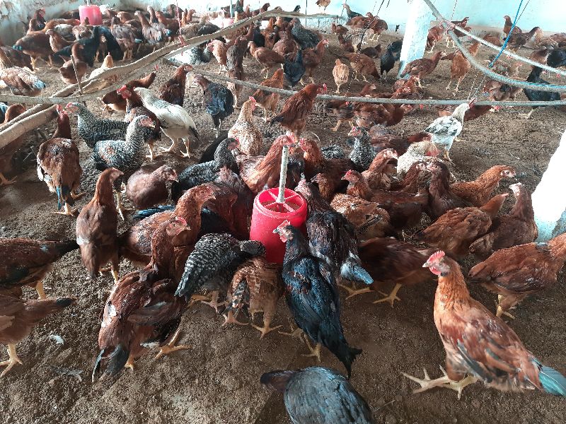 20201218_133542--1608653285