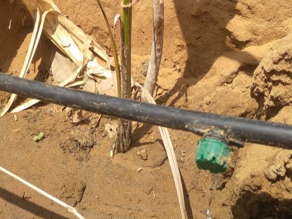 6ff5785f-67dc-4ef4-acbf-067bb8afe25e