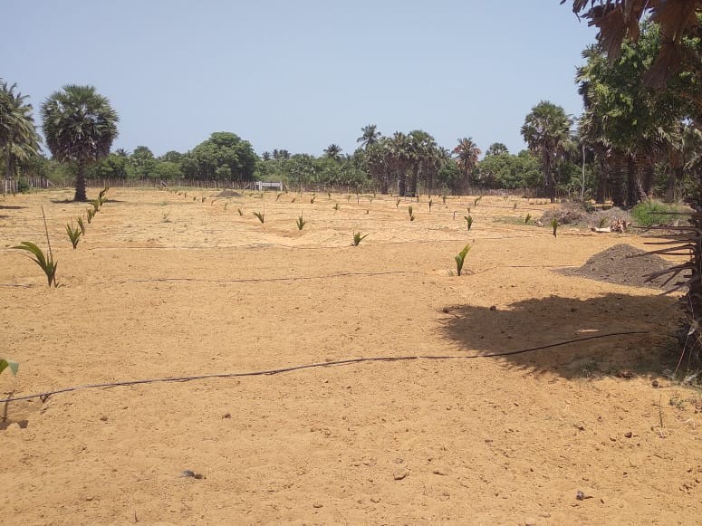 7fba4cfd-85b2-4f4c-9b4c-83effdf55a4b