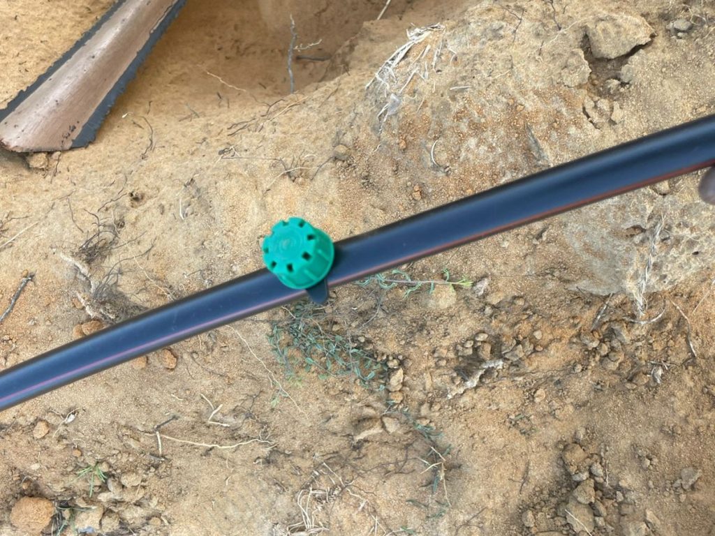 WhatsApp Image 2025-06-28 at 23.06.36_be7c85dd