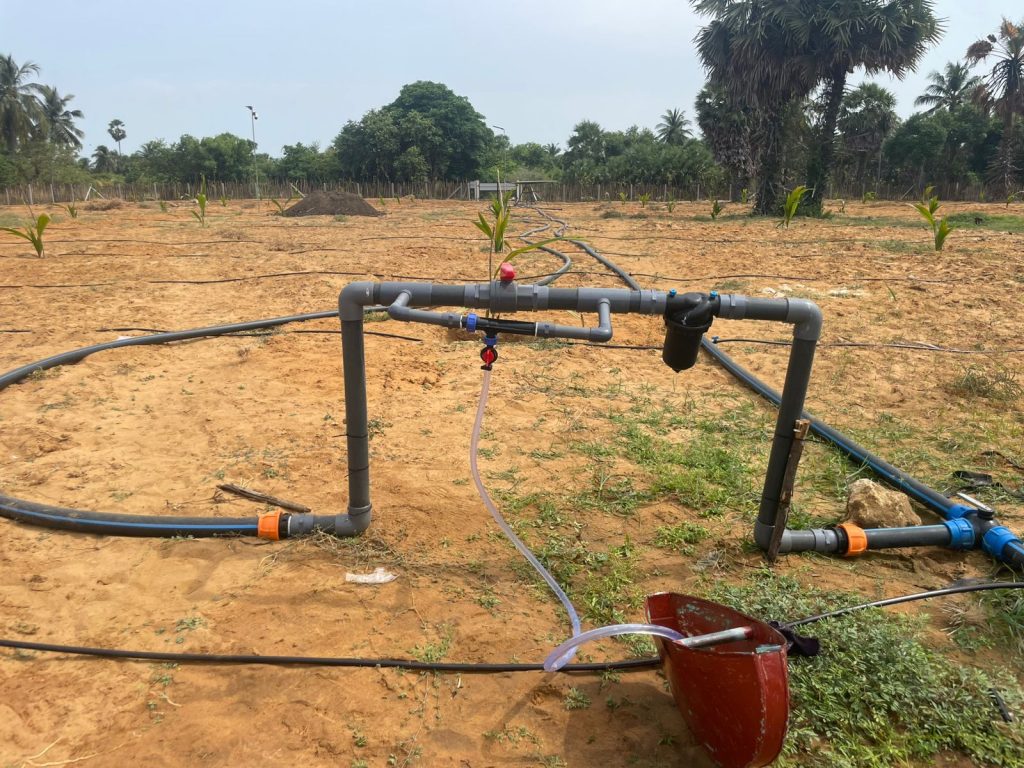 WhatsApp Image 2025-08-03 at 08.09.34_0fd311c3