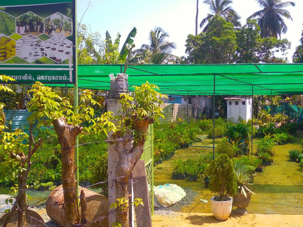 Greenhouse Construction