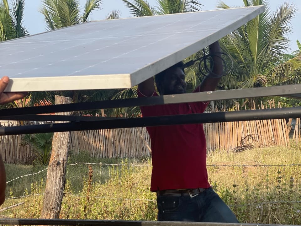 c31aea12-4bed-435e-95fb-11a091a8dd4a