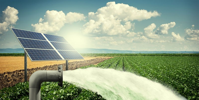 Empowering Climate-Smart Farming with Solar-Powered Irrigation in Jaffna District