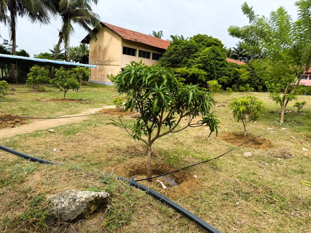 WhatsApp Image 2025-07-19 at 21.26.00_ff39f11a