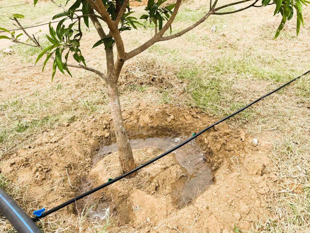 WhatsApp Image 2025-07-19 at 21.42.36_90e2b8ab