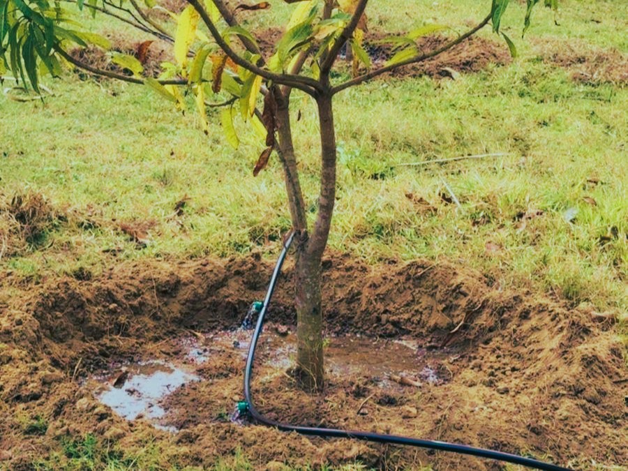 WhatsApp Image 2025-07-19 at 21.42.36_ca137deb