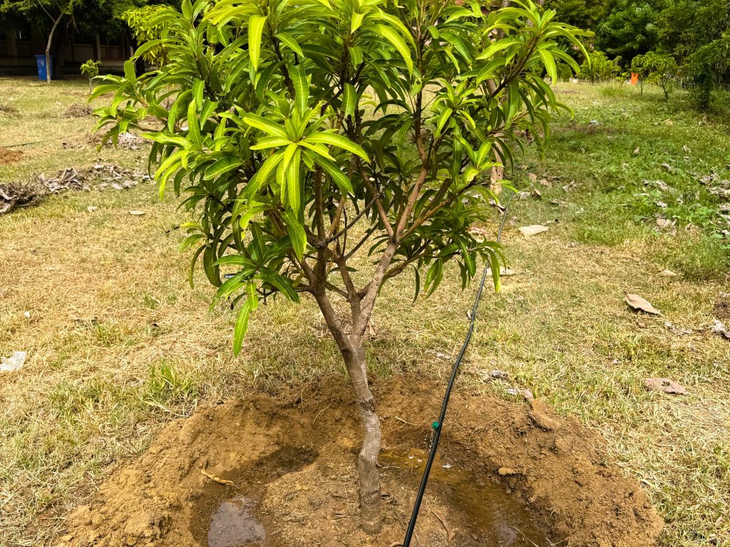 Promoting Smart Agriculture in Schools