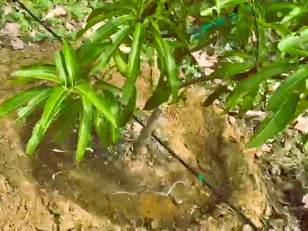 WhatsApp Video 2025-07-19 at 21.25.33_1fd6eb6a - frame at 0m15s