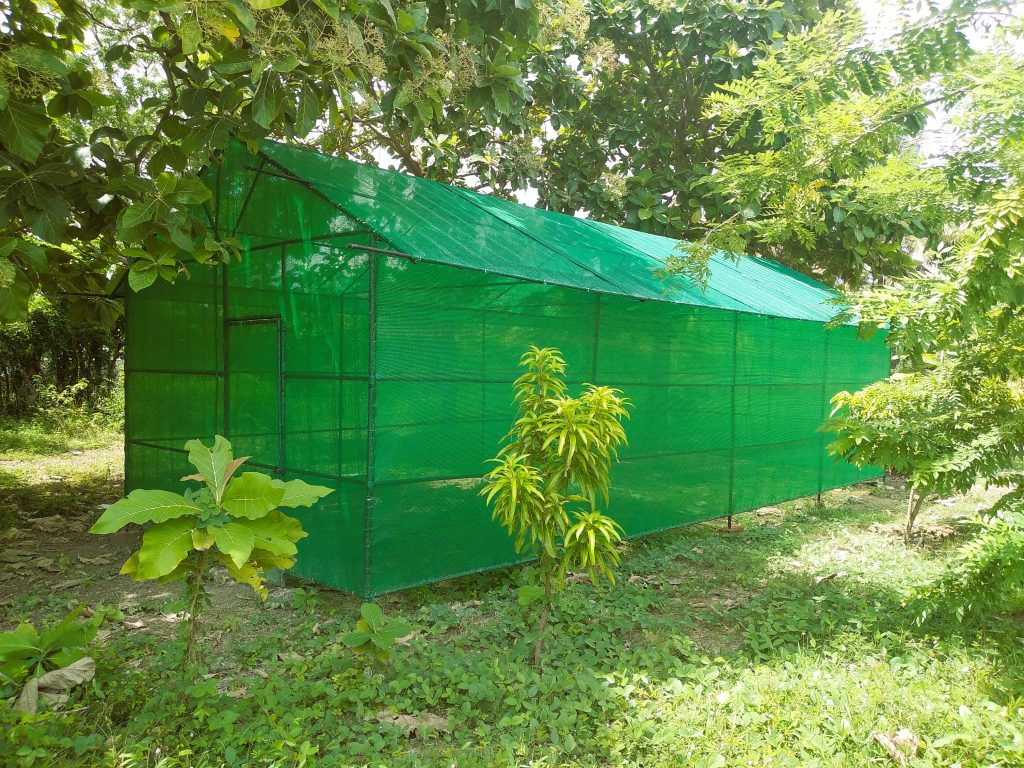 Greenhouse Project