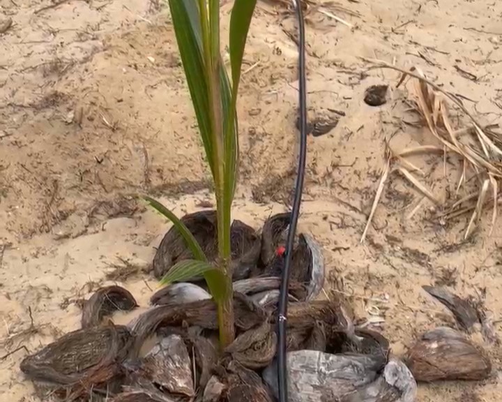 WhatsApp Video 2025-09-17 at 9.53.01 PM - frame at 0m5s